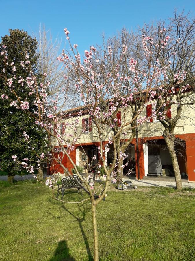 Tenuta Crescentini-Vallemura ,Appartamenti Con Entrata Indipendente سان دونا دي بيافي المظهر الخارجي الصورة