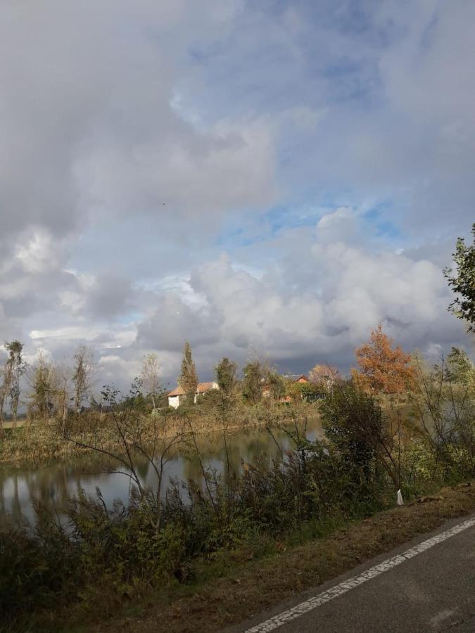 Tenuta Crescentini-Vallemura ,Appartamenti Con Entrata Indipendente سان دونا دي بيافي المظهر الخارجي الصورة