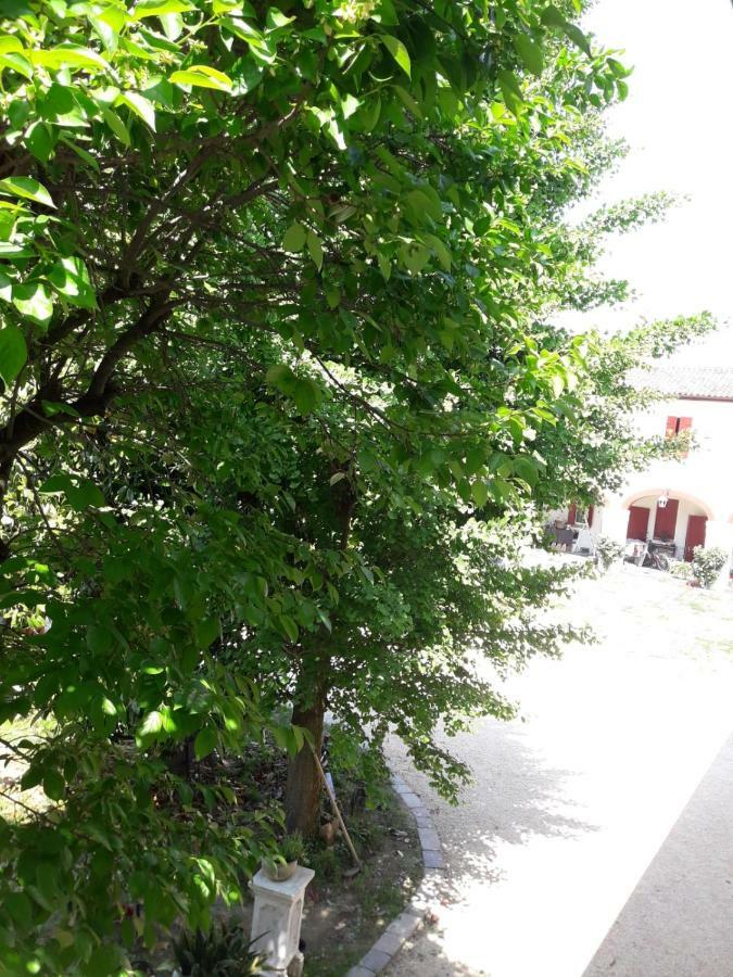 Tenuta Crescentini-Vallemura ,Appartamenti Con Entrata Indipendente سان دونا دي بيافي المظهر الخارجي الصورة