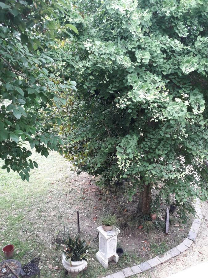 Tenuta Crescentini-Vallemura ,Appartamenti Con Entrata Indipendente سان دونا دي بيافي المظهر الخارجي الصورة