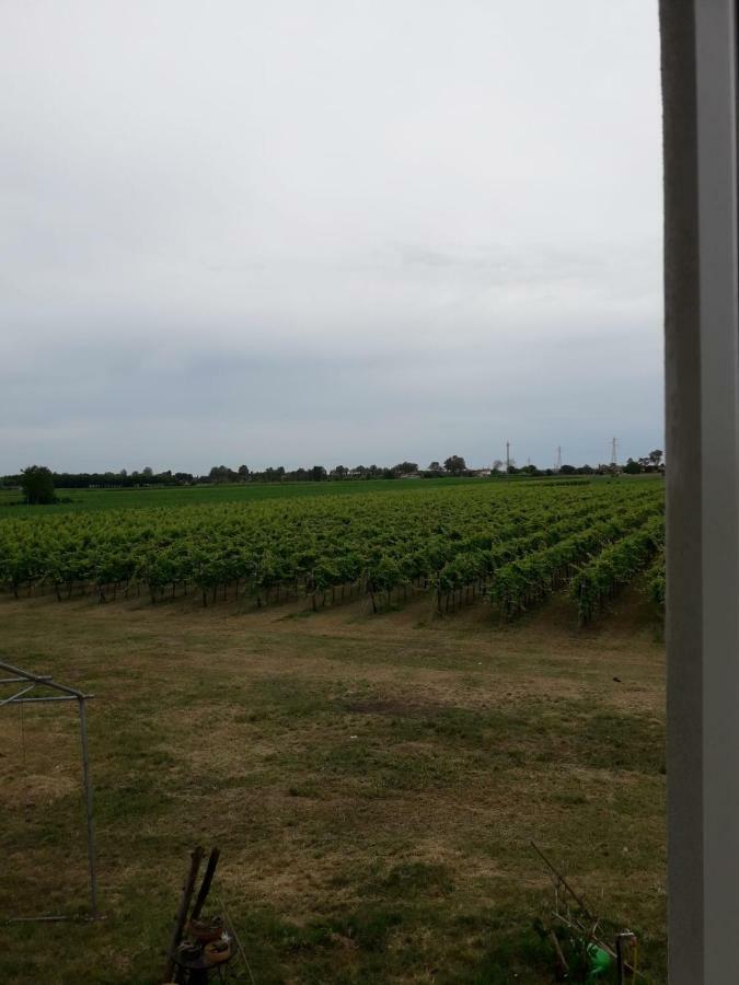Tenuta Crescentini-Vallemura ,Appartamenti Con Entrata Indipendente سان دونا دي بيافي المظهر الخارجي الصورة