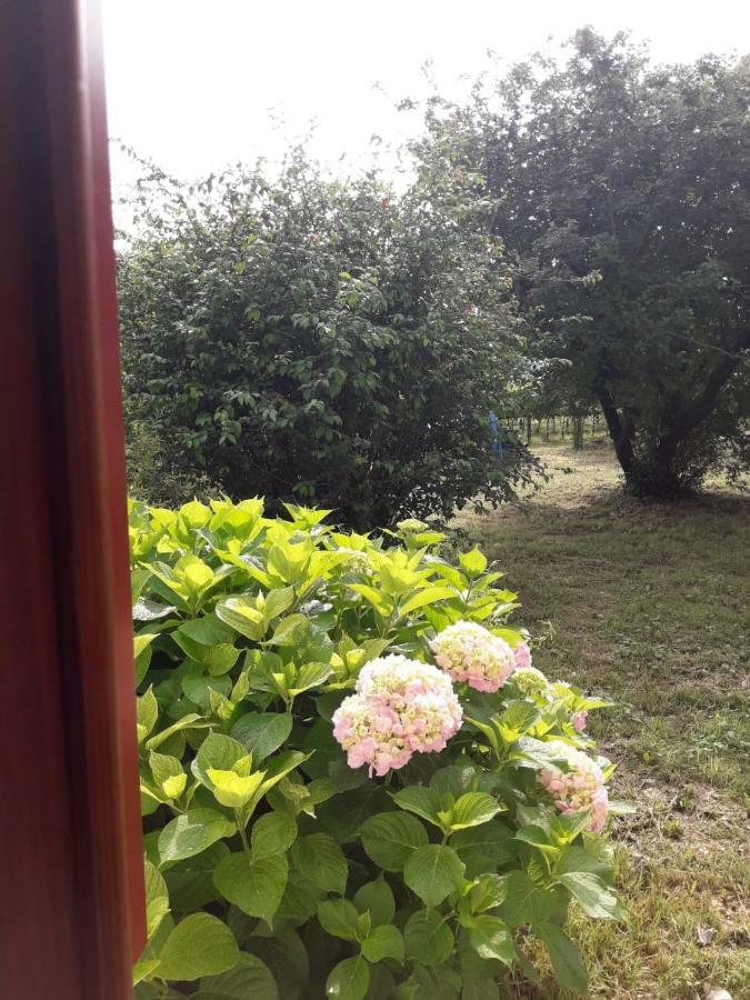 Tenuta Crescentini-Vallemura ,Appartamenti Con Entrata Indipendente سان دونا دي بيافي المظهر الخارجي الصورة