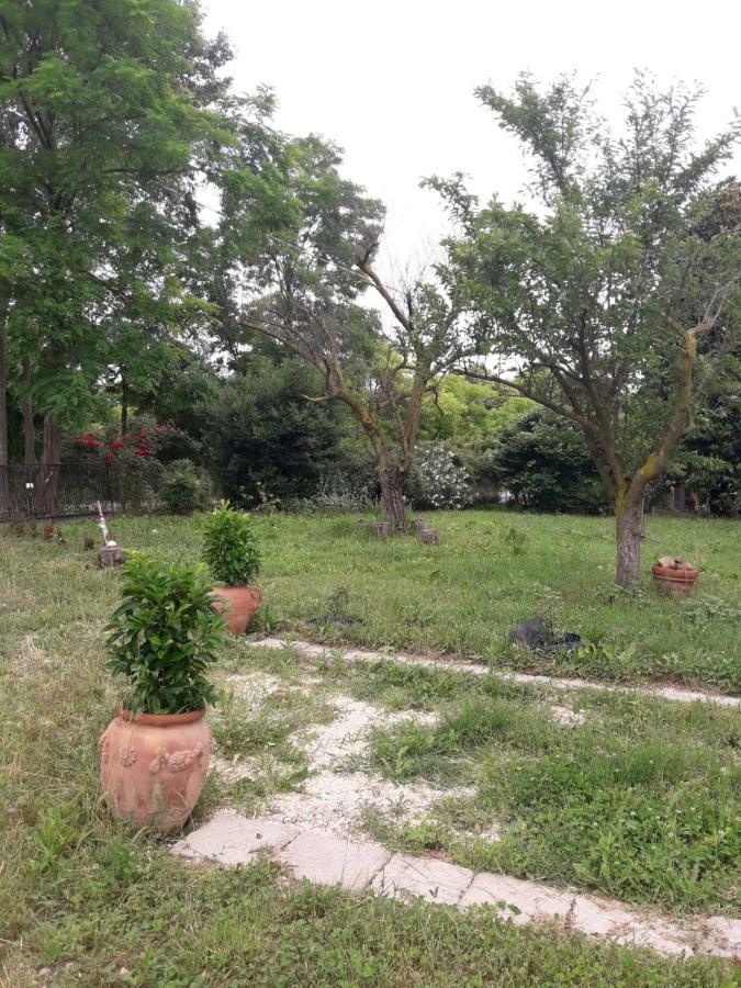 Tenuta Crescentini-Vallemura ,Appartamenti Con Entrata Indipendente سان دونا دي بيافي المظهر الخارجي الصورة