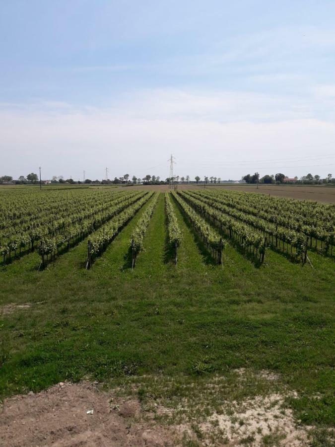 Tenuta Crescentini-Vallemura ,Appartamenti Con Entrata Indipendente سان دونا دي بيافي المظهر الخارجي الصورة