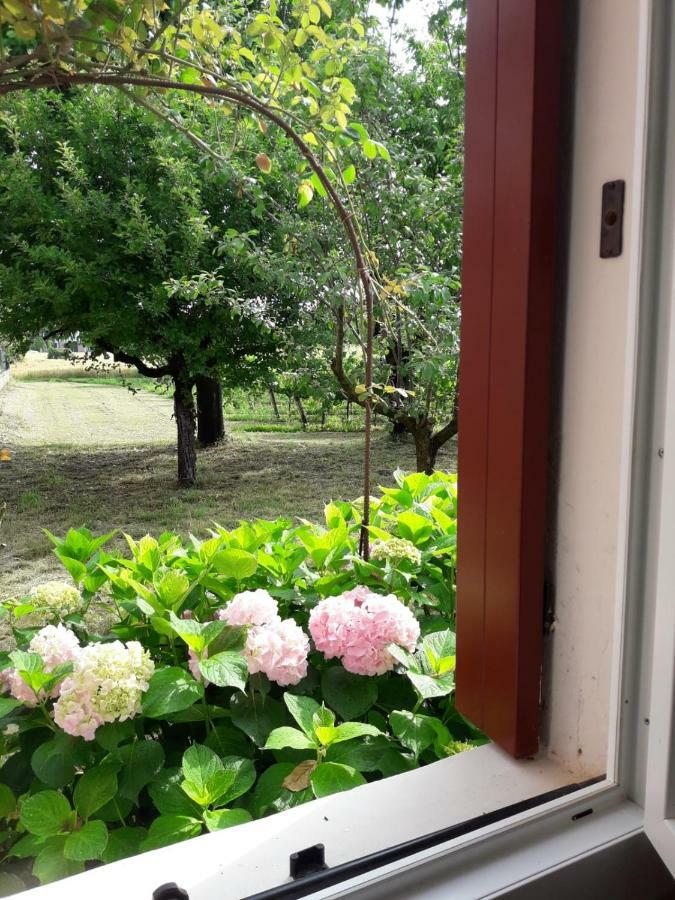 Tenuta Crescentini-Vallemura ,Appartamenti Con Entrata Indipendente سان دونا دي بيافي المظهر الخارجي الصورة
