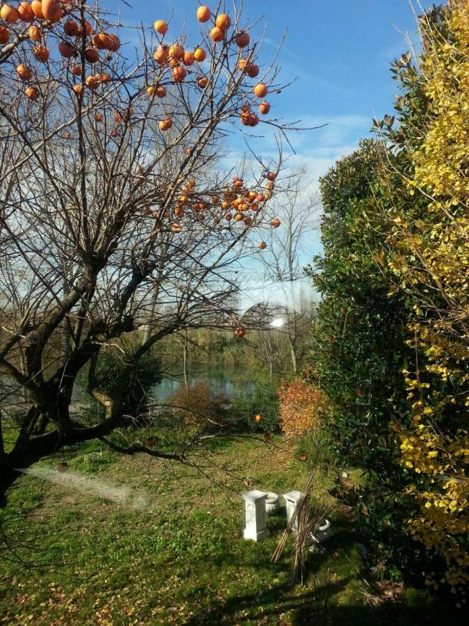 Tenuta Crescentini-Vallemura ,Appartamenti Con Entrata Indipendente سان دونا دي بيافي المظهر الخارجي الصورة