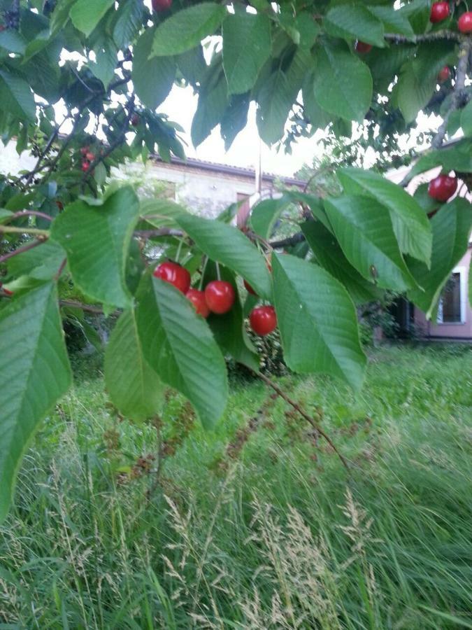 Tenuta Crescentini-Vallemura ,Appartamenti Con Entrata Indipendente سان دونا دي بيافي المظهر الخارجي الصورة