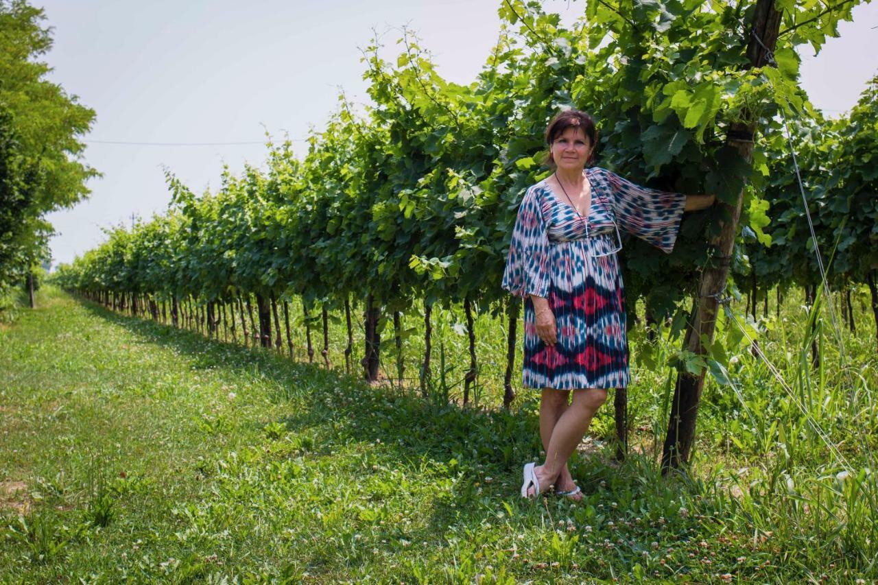 Tenuta Crescentini-Vallemura ,Appartamenti Con Entrata Indipendente سان دونا دي بيافي المظهر الخارجي الصورة
